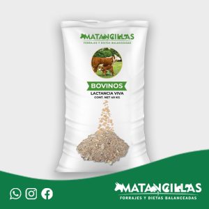 Bovino Lactancia Viva