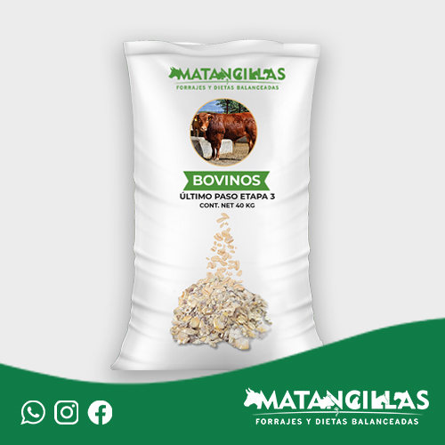 Bovino Último Paso Etapa 3