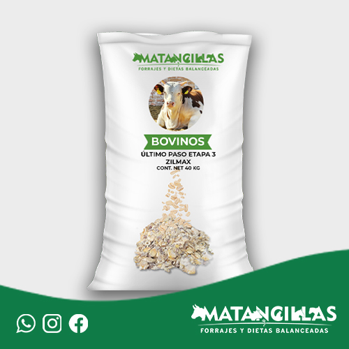 Bovino Último Paso Etapa 3 Zilmax