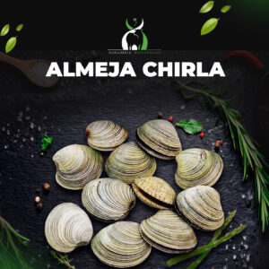 Almeja Chirla