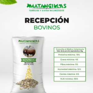 Recepción Bovino (Costal 40kg)