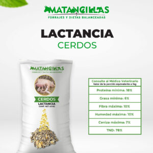 Lactancia Cerdos (Costal 40kg)