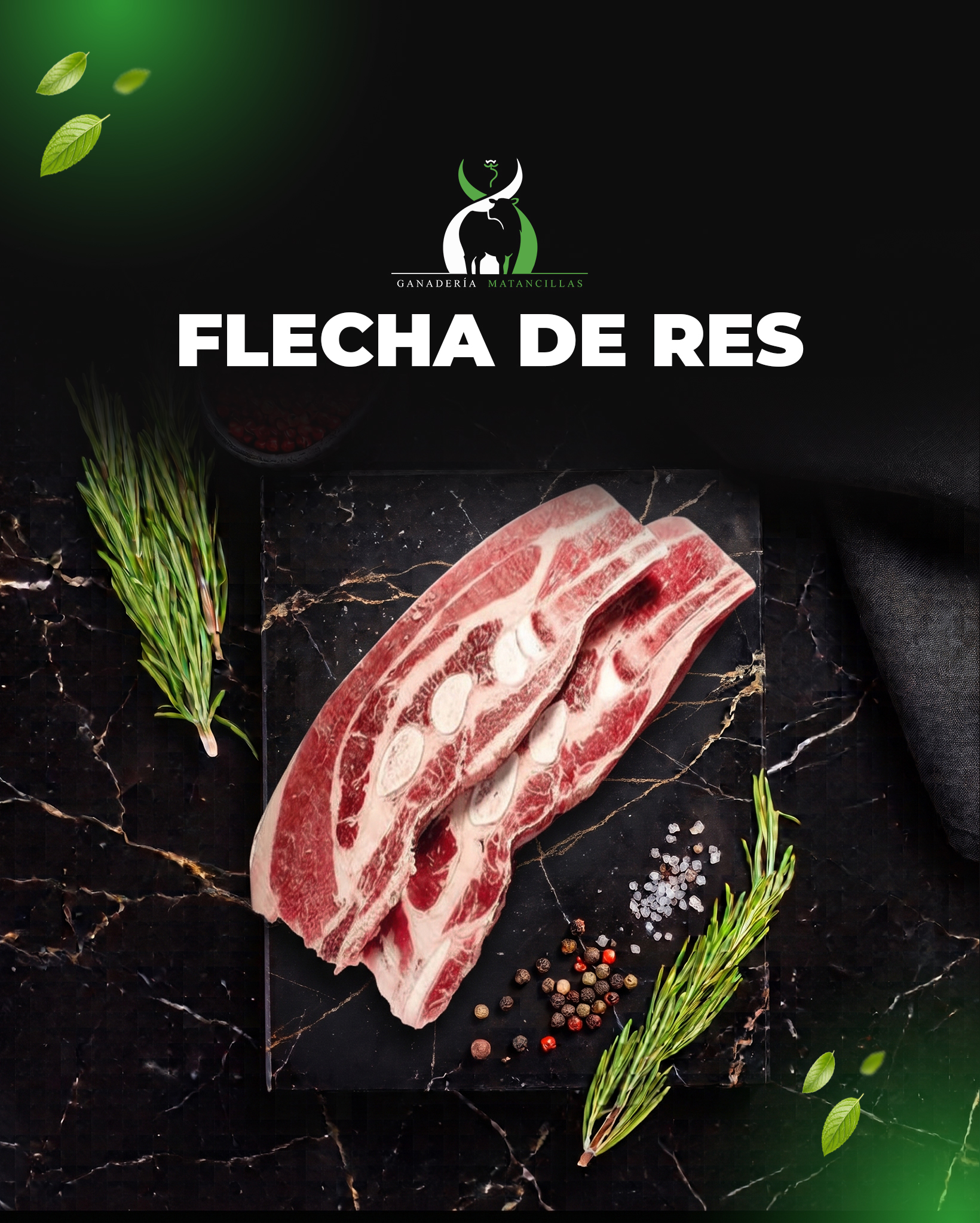 Flecha de Res