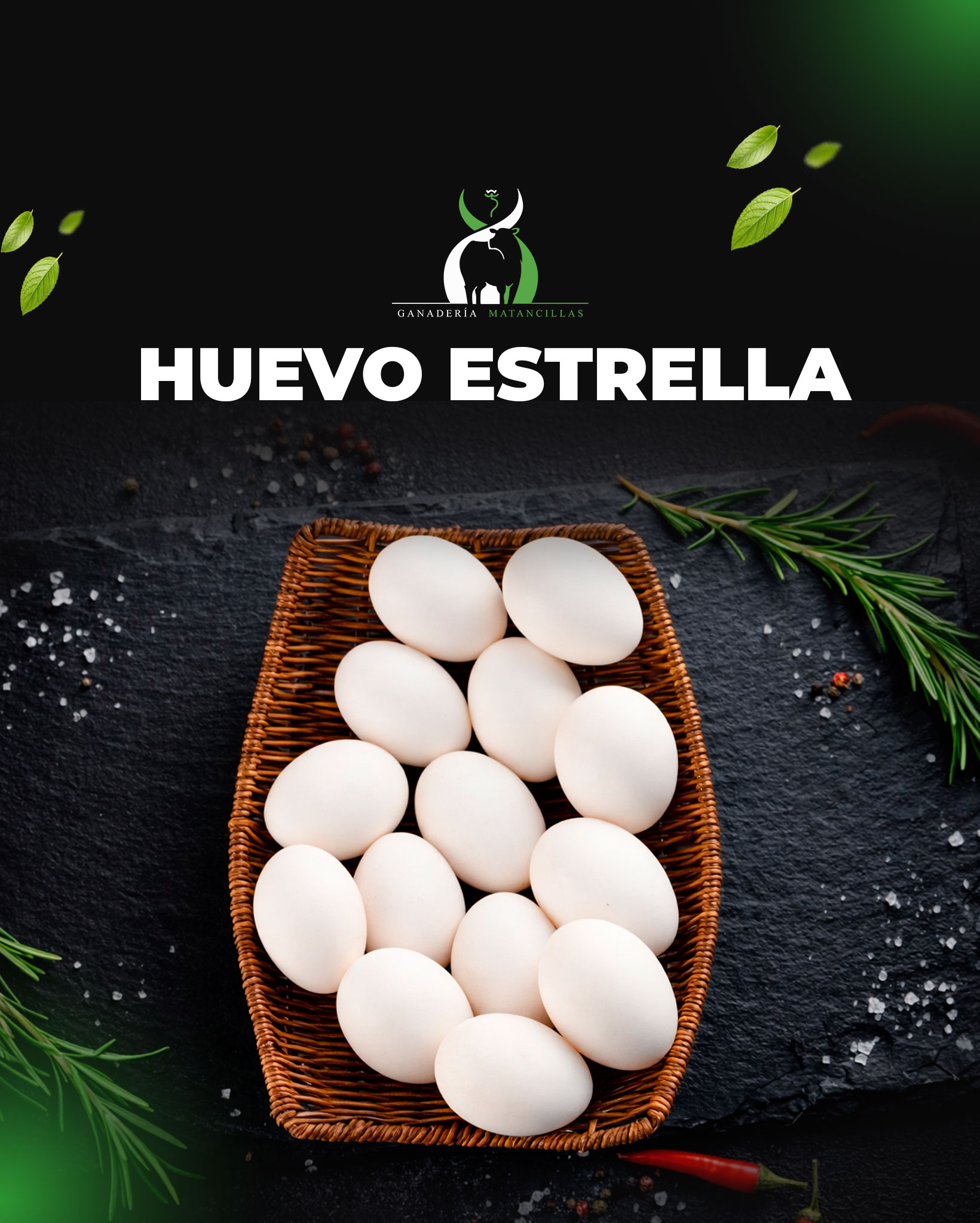 Huevo Estrella