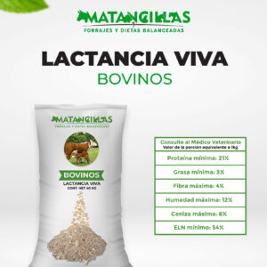 Lactancia Viva Bovino (Costal 40Kg)