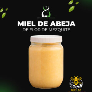 Miel de Abeja de Flor de Mezquite (1lt)