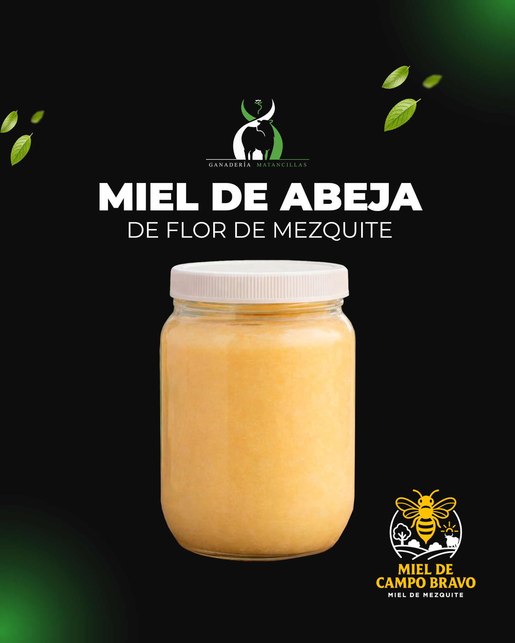 Miel de Abeja de Flor de Mezquite (1lt)